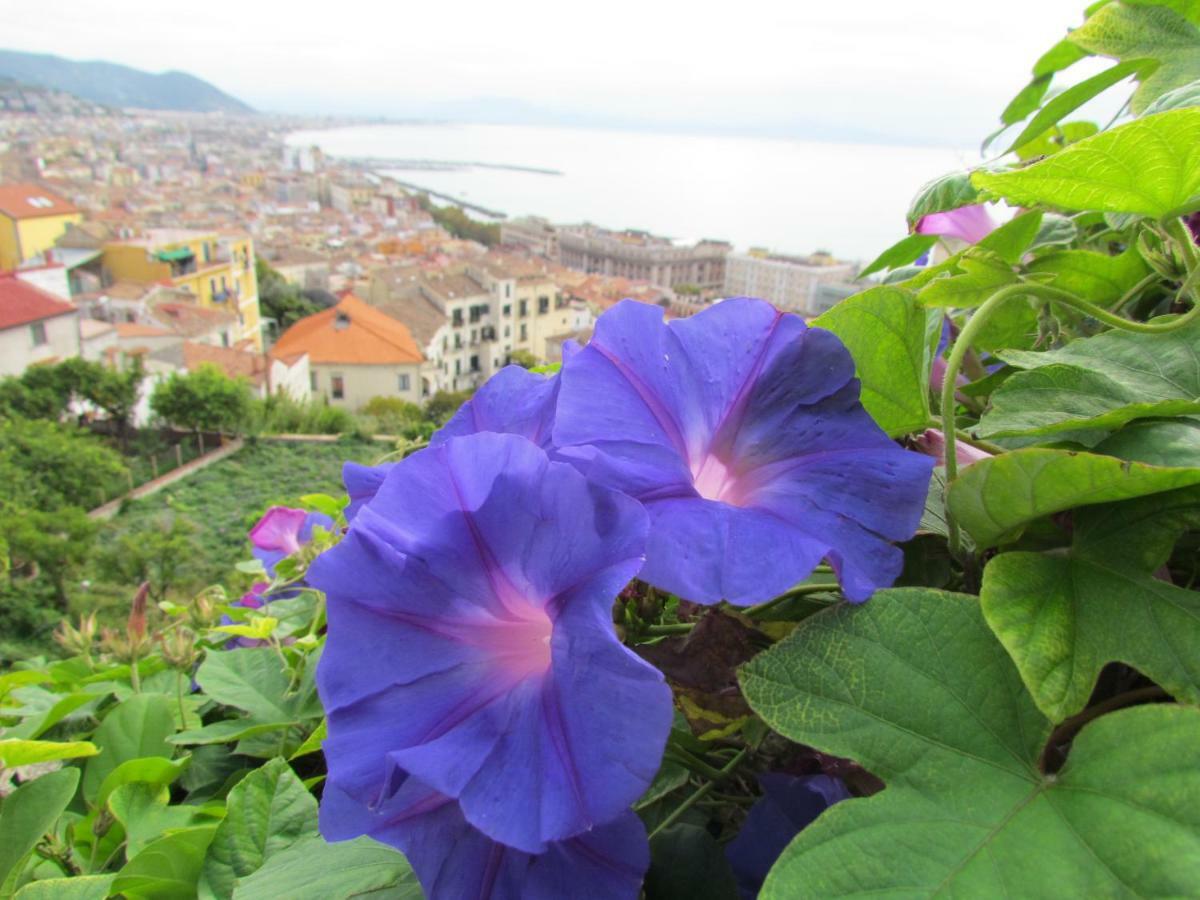 Casa vacanze Al Nove E Trequarti *
